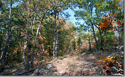 Ouachita Trail photo